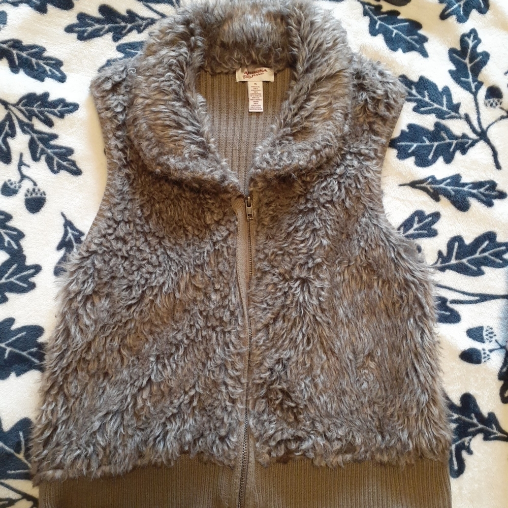 Arazona jean faux fur vest.